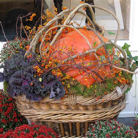 16 Fall Container Garden Ideas