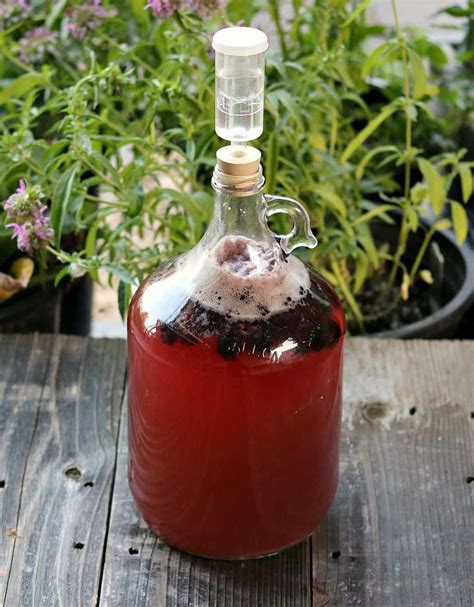 Black Briar Mead Recipe - Find Vegetarian Recipes