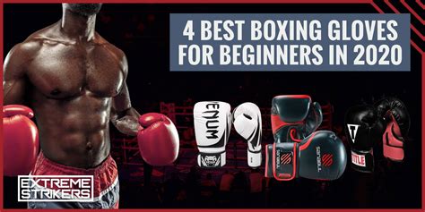 4 Best Boxing Gloves for Beginners (Reviews & Ratings 2021)