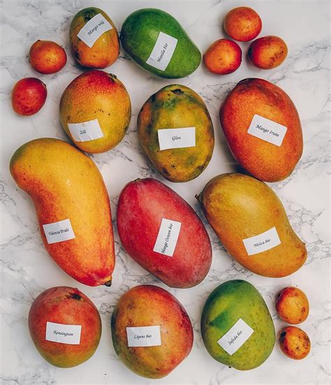 Types Of Mangoes In Hawaii