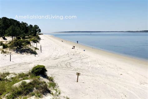 Amelia Island State Park | Amelia Island Living eMagazine