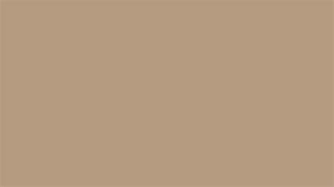 Pantone 14-1012 Tpx Gilded Beige Color | Hex color Code #B49B80 information | Hsl | Rgb | Pantone