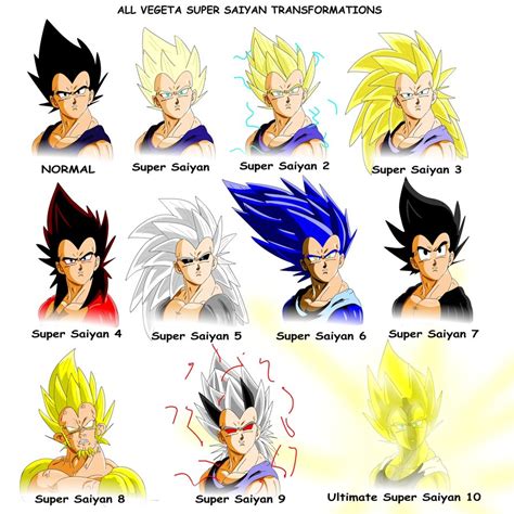 Image - All vegeta super saiyan transformations by bocodamondo-d4the63.jpg - Dragon Ball Wiki