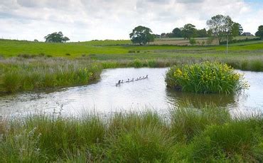 Farming with nature: Getting to grips with trading natural capital ...