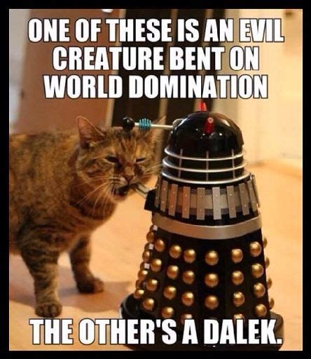 Dalek Memes | Wiki | Doctor Who Amino