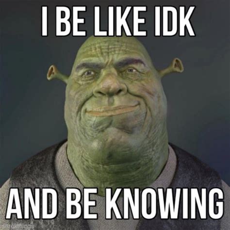 idk : r/shrekfanpage