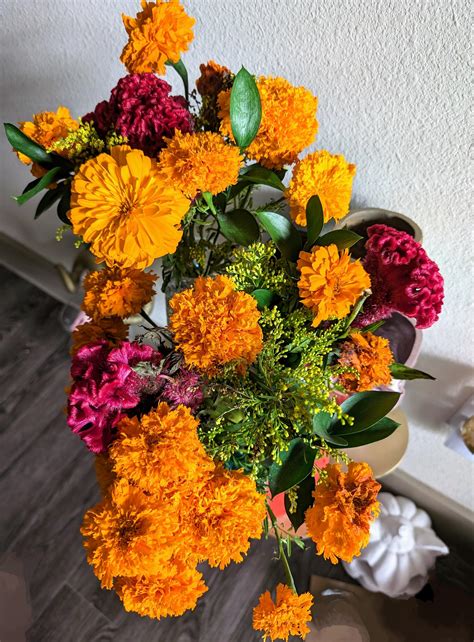 absolutely love marigold season! : r/flowers