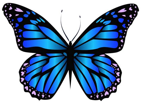 Blue Butterfly Clipart