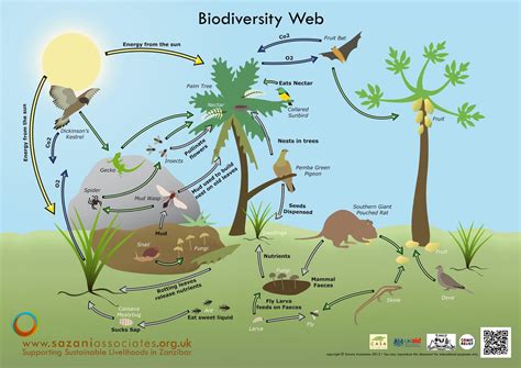 Biological Diversity Wallpapers - Wallpaper Cave