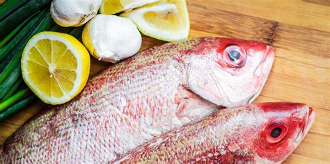 The Differences Between a Snapper & Grouper - Billy's Seafood