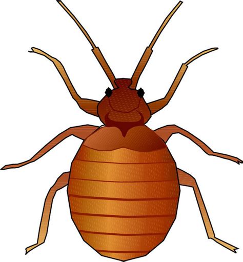 Bug Clip Art Free - Cliparts.co