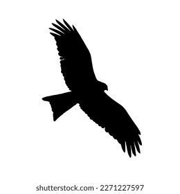 Eagle Flight Silhouette Illustration Eagle Illustration Stock Illustration 2271227597 | Shutterstock