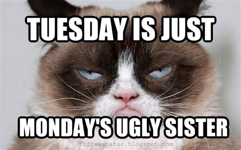 √ Funny Memes About Tuesday