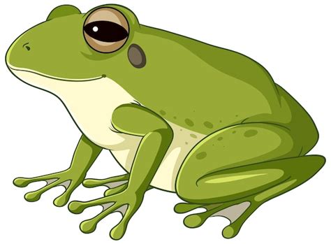 Frog Vectors & Illustrations for Free Download | Freepik