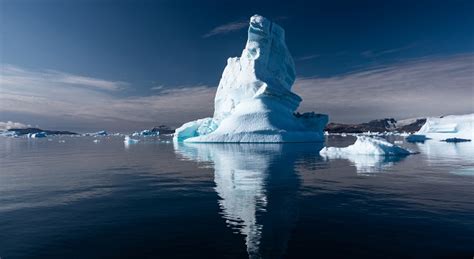 A Wild Polar Bear Encounter in Greenland