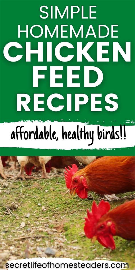 Simple Homemade Chicken Feed Recipes : Secret Life of Homesteaders