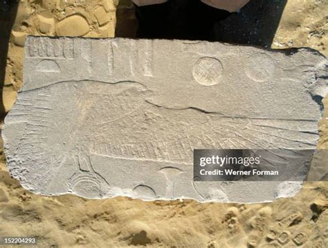 96 Saqqara Bird Stock Photos, High-Res Pictures, and Images - Getty Images