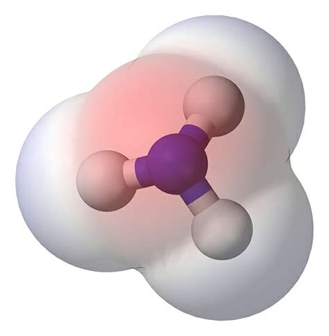 Polar Molecule - Definition and Examples | Biology Dictionary