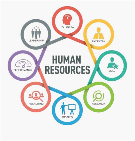 Transparent Human Resources Png - Human Resource Hr Logo , Free Transparent Clipart - ClipartKey