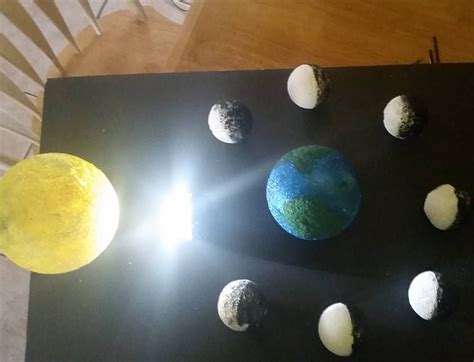 Earth science project. Lunar phases. This was my son's 6th grade project (before labeling). We ...