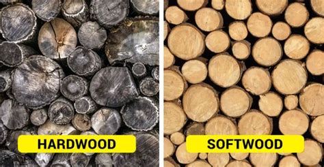 Hardwood Vs Softwood – Differences, Uses, Pros And Cons - The Ultimate Home Living Blog