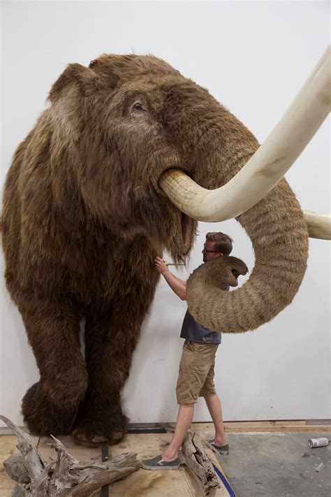 10-foot tall (half) Mastodon for Staten Island... - BLUE RHINO STUDIO ...