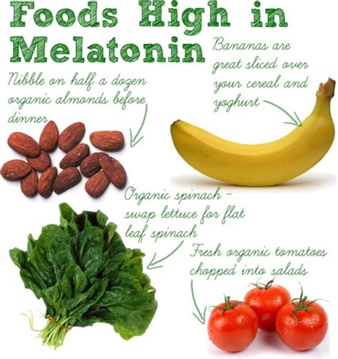 Melatonin Foods for Sleep - Back to Health Wellness Centre