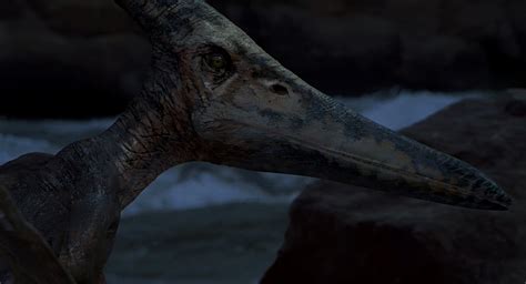 Pteranodon (The Lost World, Jurassic Park 3, Jurassic World)