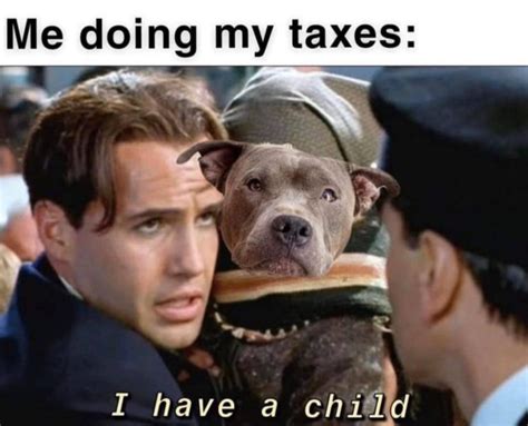 Top Tax and Accounting Memes: Laugh Through Tax Season