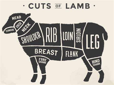 Butchers Diagram For Beef Cuts