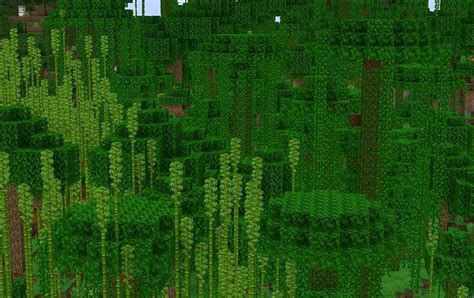 Bamboo Jungle in Minecraft