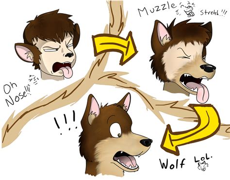 Brown Wolf Transformation 3 by Fox0808 on DeviantArt