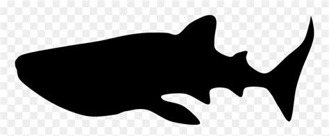 Download Silhouette Whale Shark Clip Art - Whale Shark Silhouette Transparent Background - Png ...