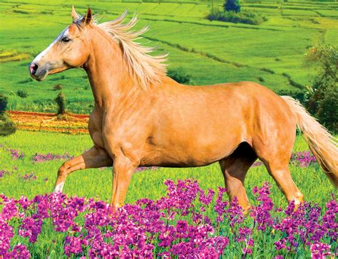 Horse Running in Field of Purple Flowers, 100 Pieces, RoseArt | Puzzle ...