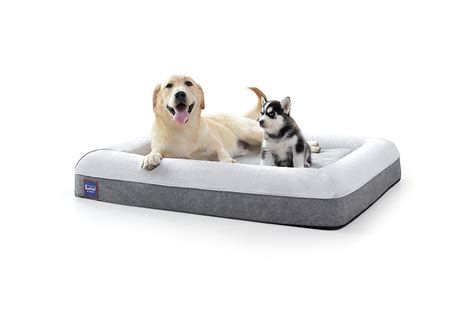 Top 10 Extra Large Dog Beds With Memory Foam