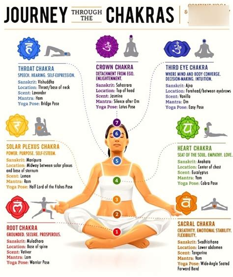 Yoga Midterm-Chakras Diagram | Quizlet