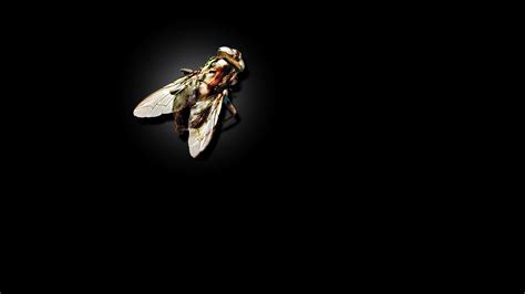 Download Movie The Fly (1986) HD Wallpaper