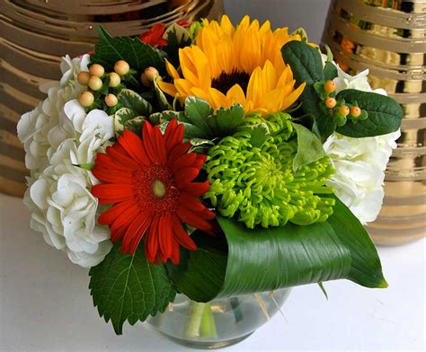 Buy Sunflower Field flowers Online | Stavebank Florist