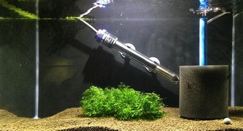 How to Setup an Aquarium Heater - Submersible Fish Tank Heater Guide