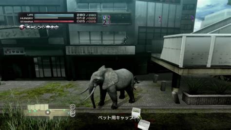 Tokyo Jungle screenshots - Gematsu