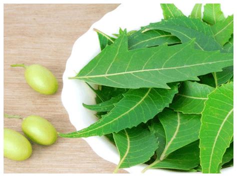 Unique culinary uses of neem leaves and their benefits