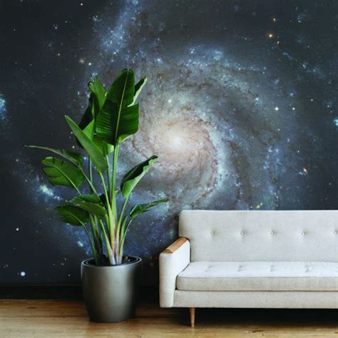 Pinwheel Galaxy Wallpaper Mural | Linen Chest