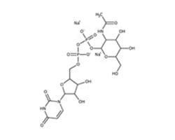 Pyrimidine nucleotides | Fisher Scientific