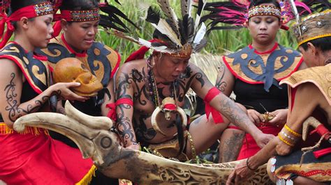 Suku dayak berasal dari provinsi | Black Liff