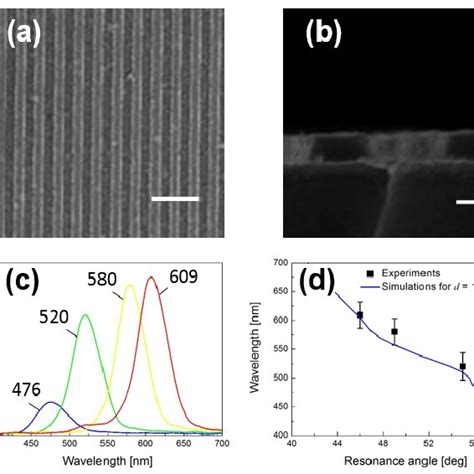 Fluorescence intensity spectra obtained for (a) Alexa Fluor 488 and (b ...