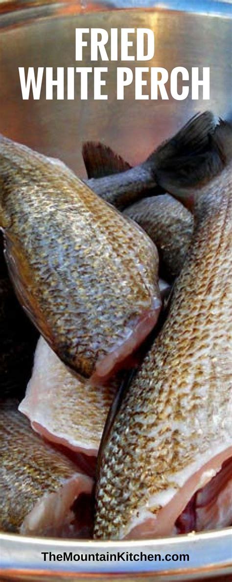 Fried White Perch ~ Fresh caught White perch battered in yellow cornmeal, salt and pepper then ...