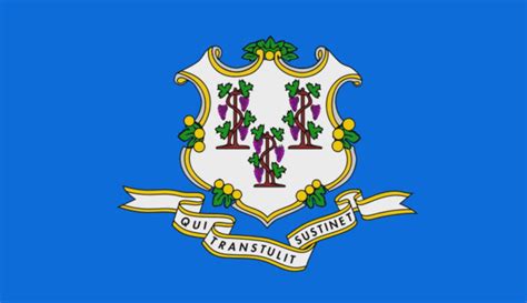 Integrity Flags Connecticut State Flag 36" x 60" (33526) – Baumgartens - B3.net