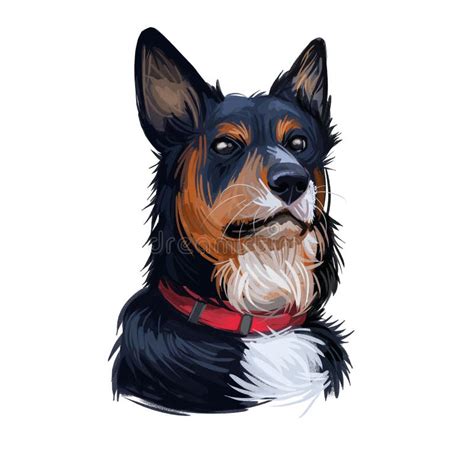 Welsh Sheepdog Stock Illustrations – 332 Welsh Sheepdog Stock Illustrations, Vectors & Clipart ...