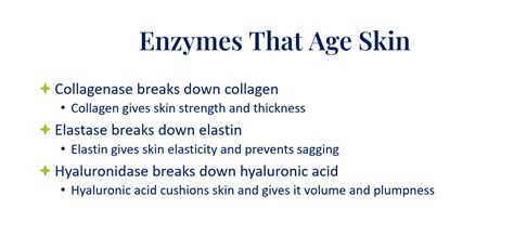 What Are The Causes of Aging Skin? How to prevent skin aging. – Skin Type Solutions