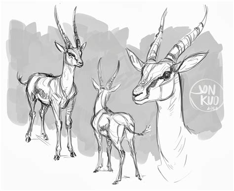 jonathan kuo artwork: gazelle studies